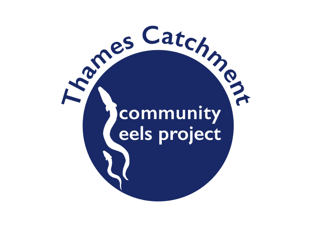 Thames Catchment Community Eels Project logo