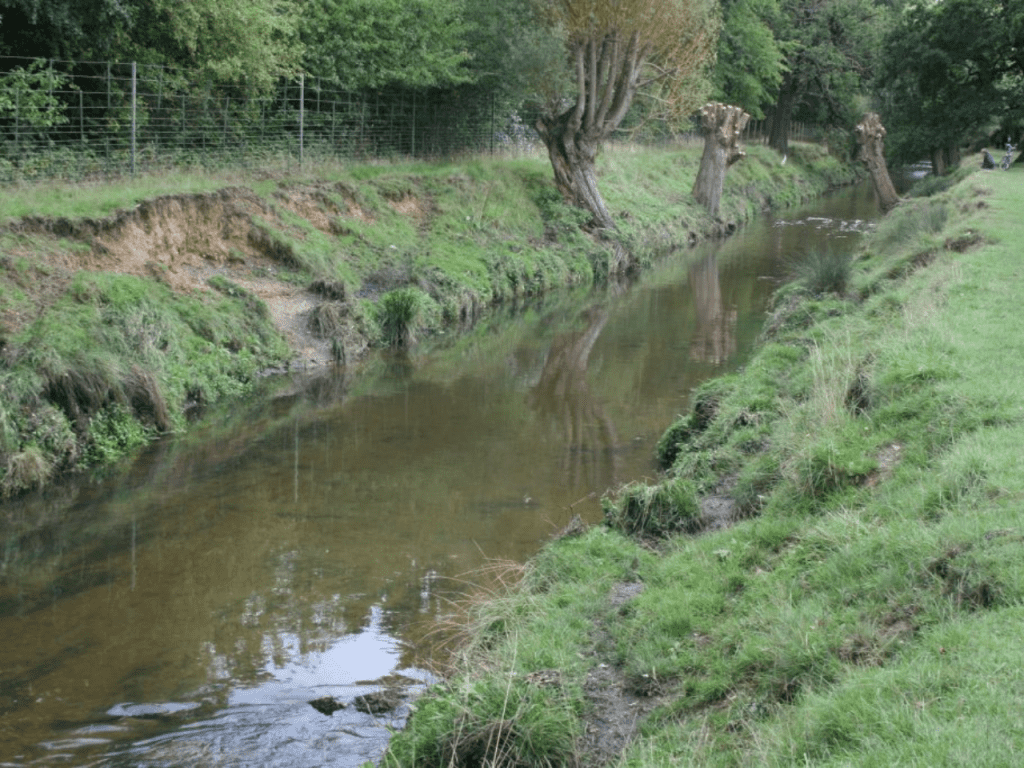 Beverley Brook Restoration: View 3, before