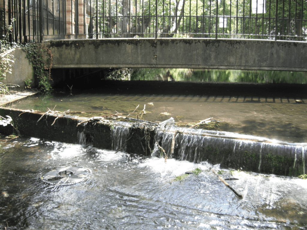 River Wandle: View 2 before