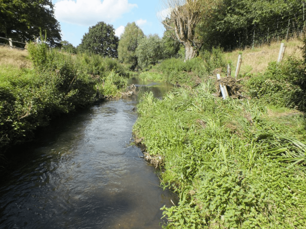 Beverley Brook Restoration: View 2, after