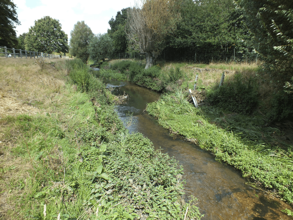 Beverley Brook Restoration: View 1, after