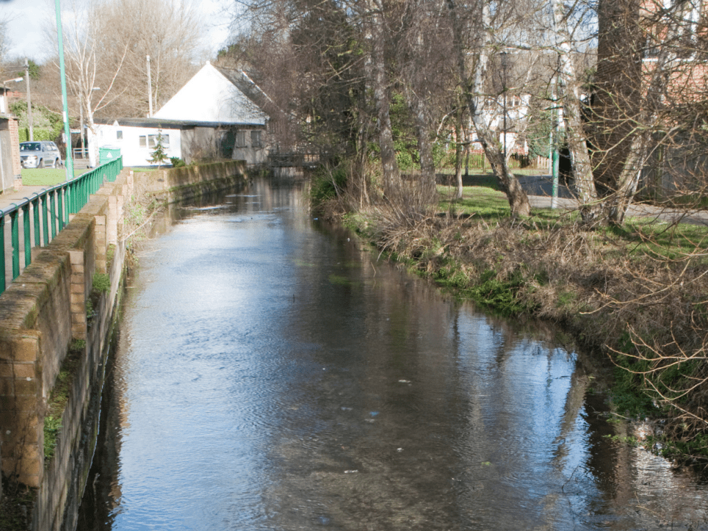 River Wandle: View 1 before