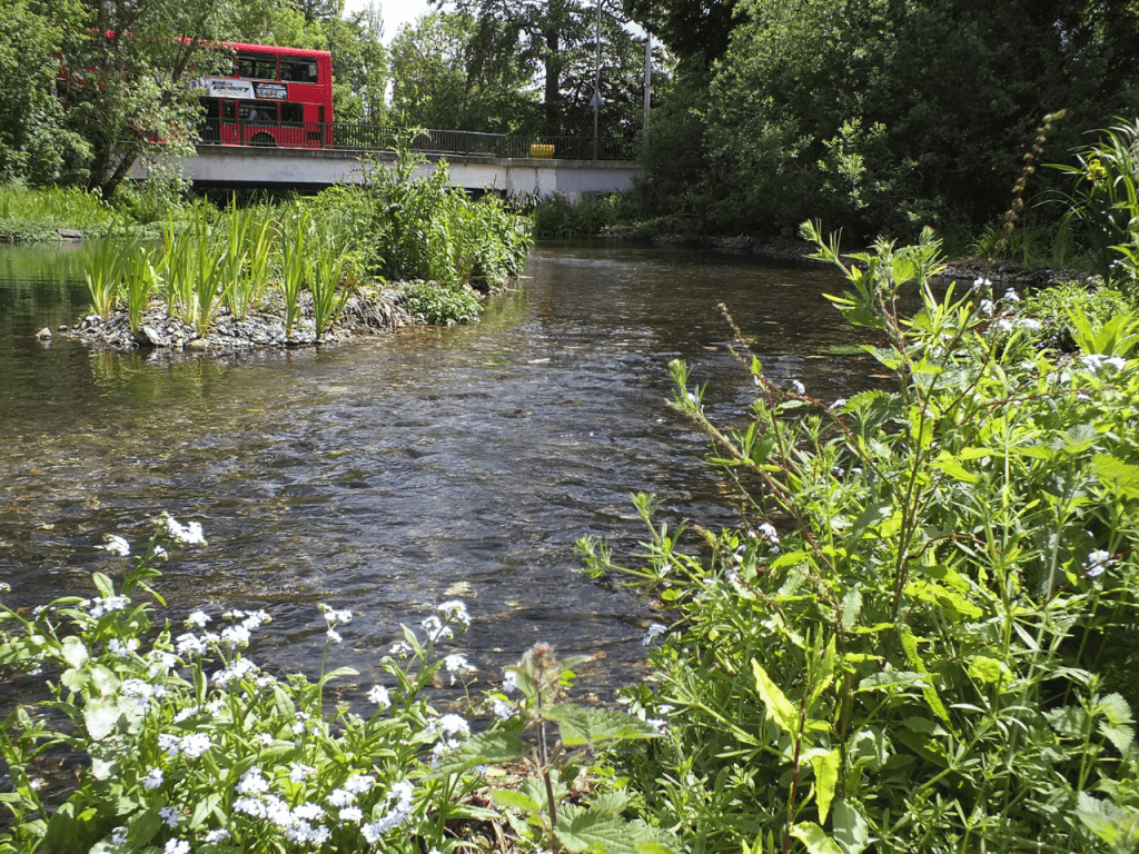 River Wandle at Hackbridge