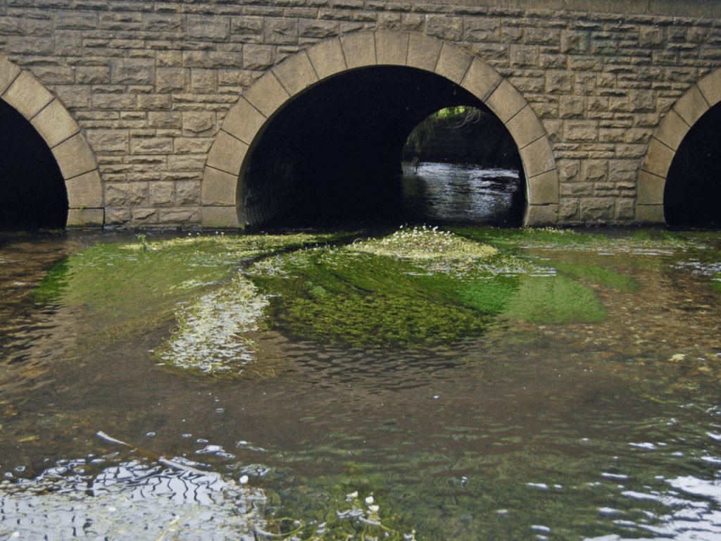 A bridge over the River Wandle