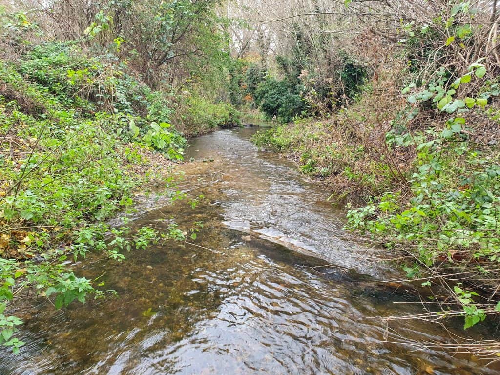 River Darent after restoration