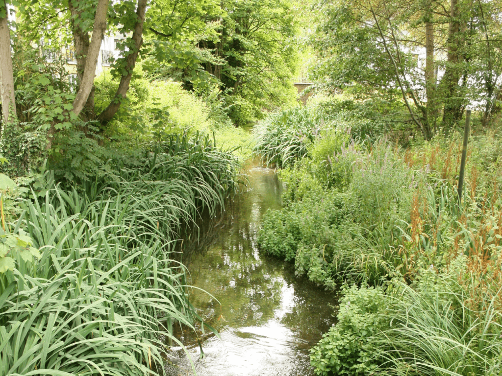 Upper reaches of the River Wandle