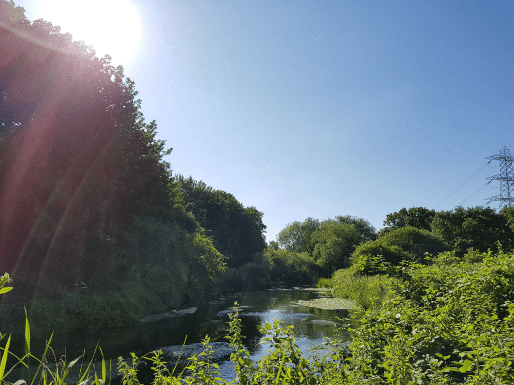 A sunny day on the River Wandle