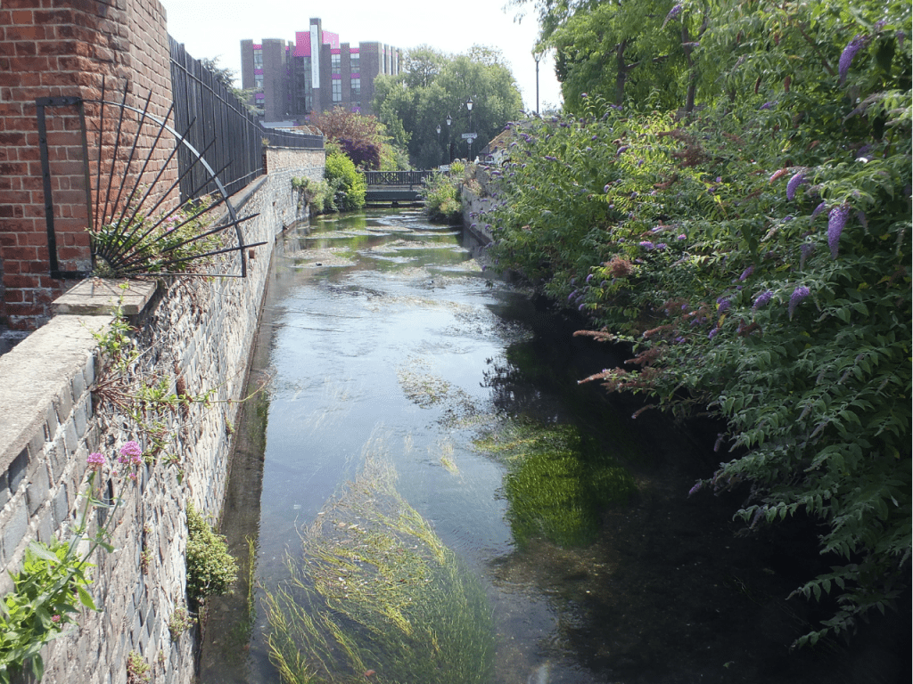 River Dour - the Urban Chalk Stream