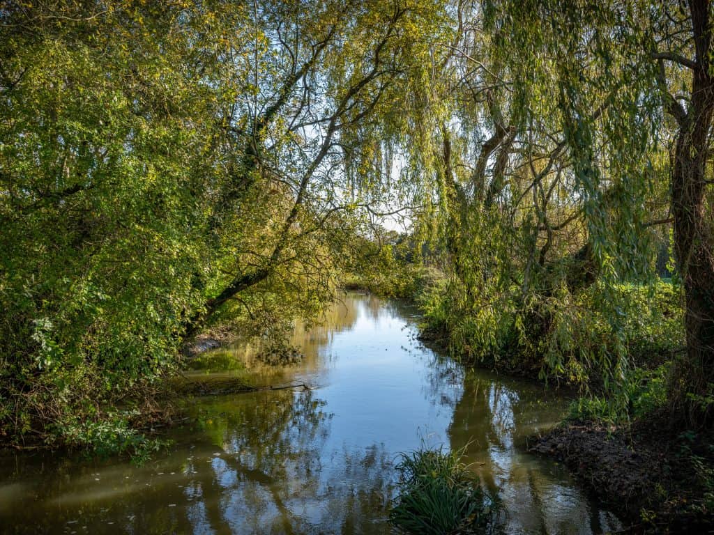 Willows on The Wey