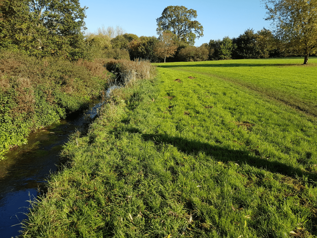River Loddon - Emm Brook