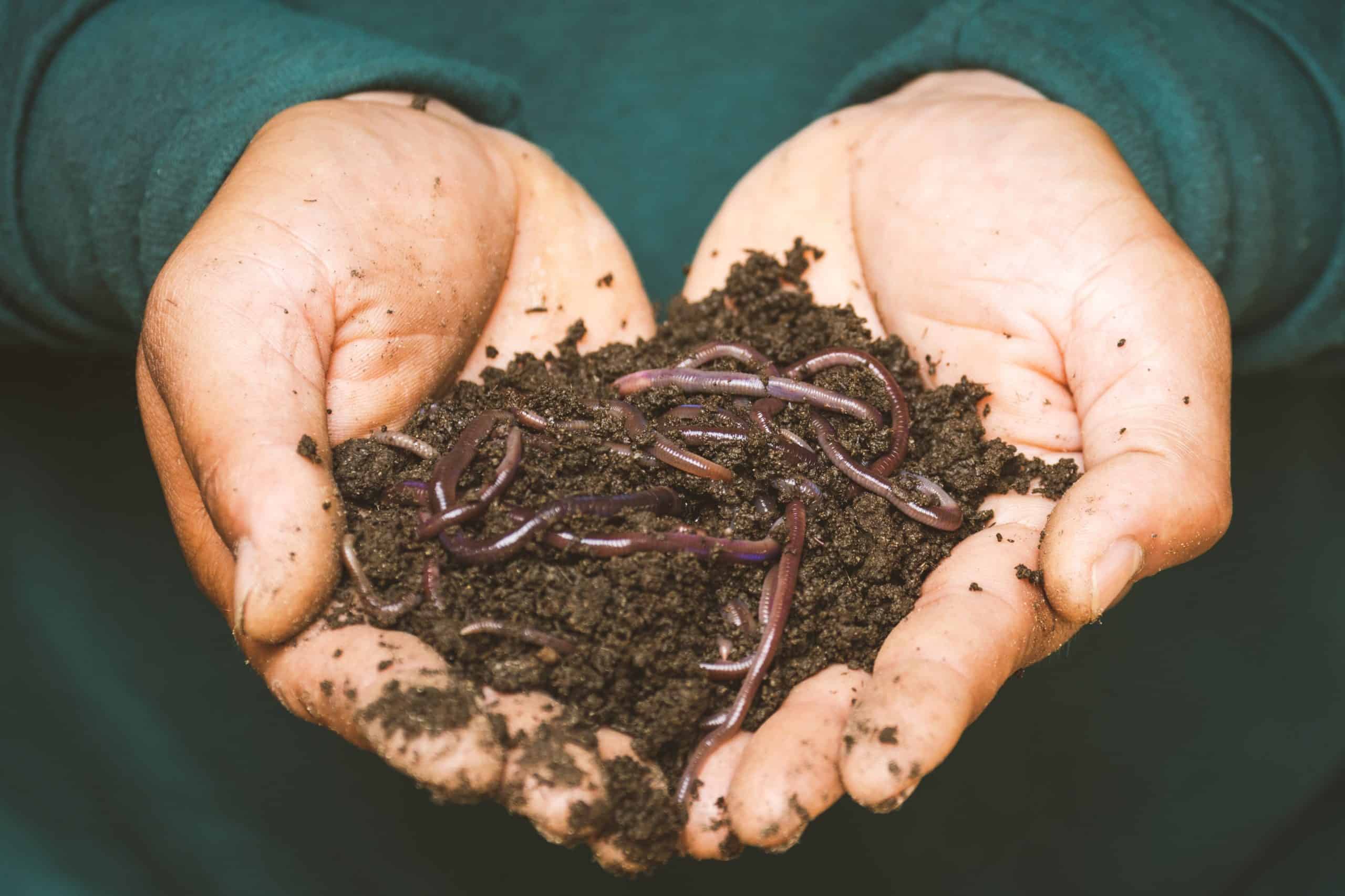 Soil management for water resources – a can of worms?