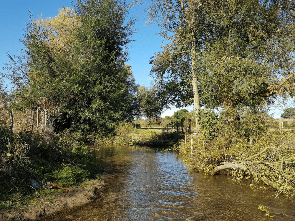 River Loddon - Whitewater