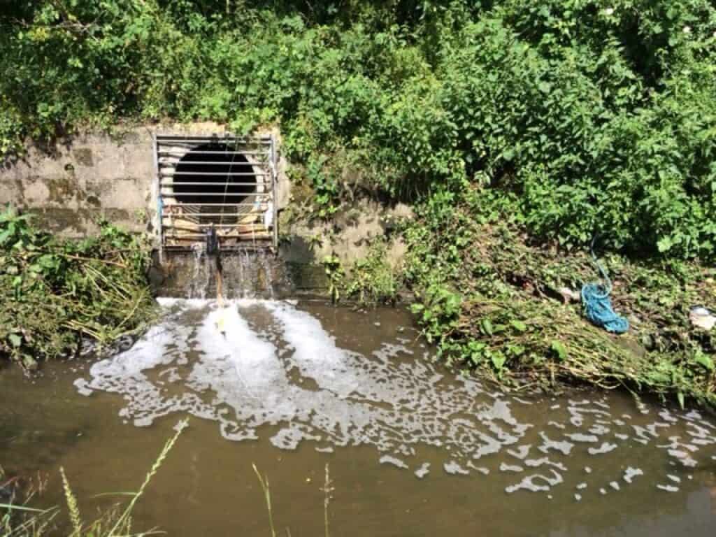 Yellow Fish outfall spillage