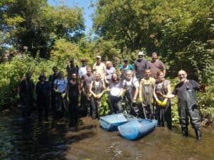 Hogsmill cleanup