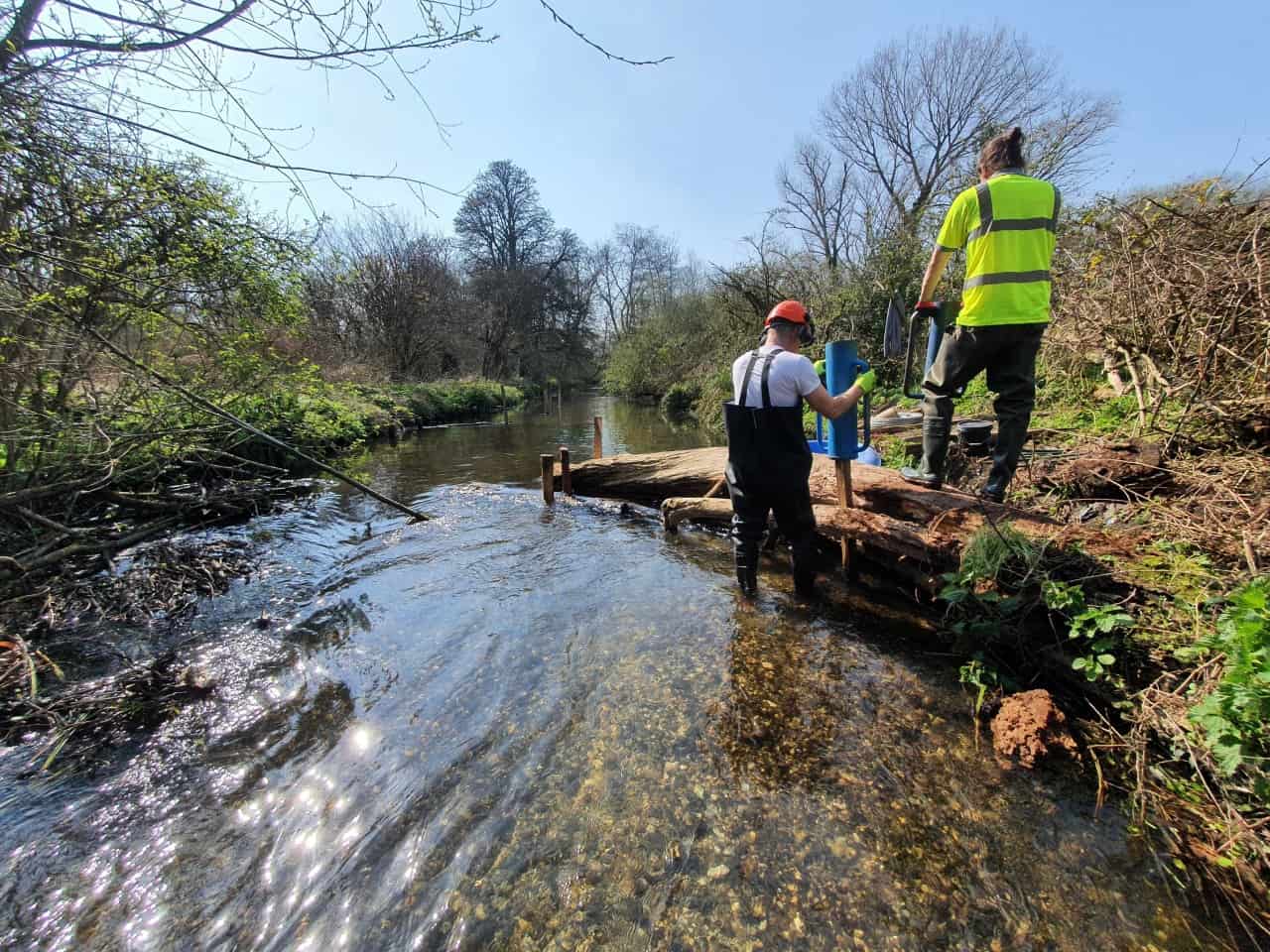 Volunteer river restoration at Morden Hall Park