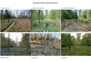 Streetend Wood montage 