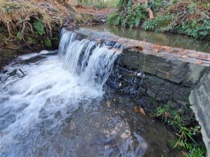 Tilgate Weir prevents fish passage