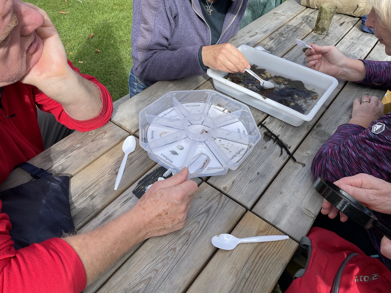 Riverfly volunteer training – River Loddon
