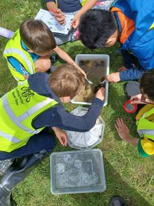 Children explore what's in the river and record their findings in a session led by the South East Rivers Trust