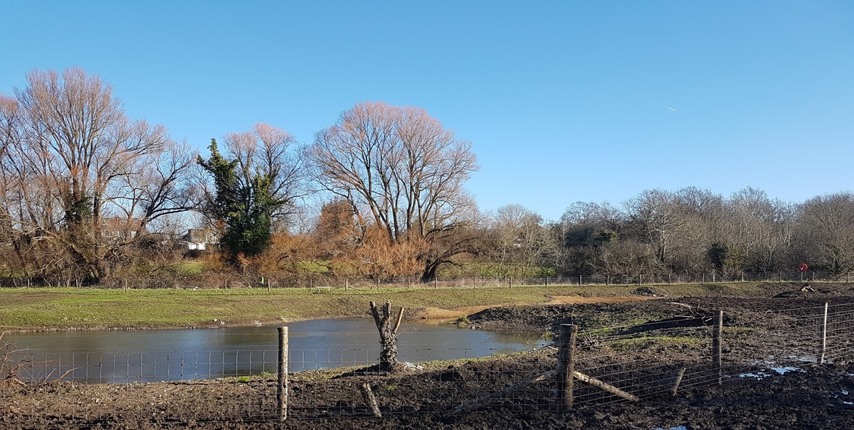 The Chamber Mead wetland