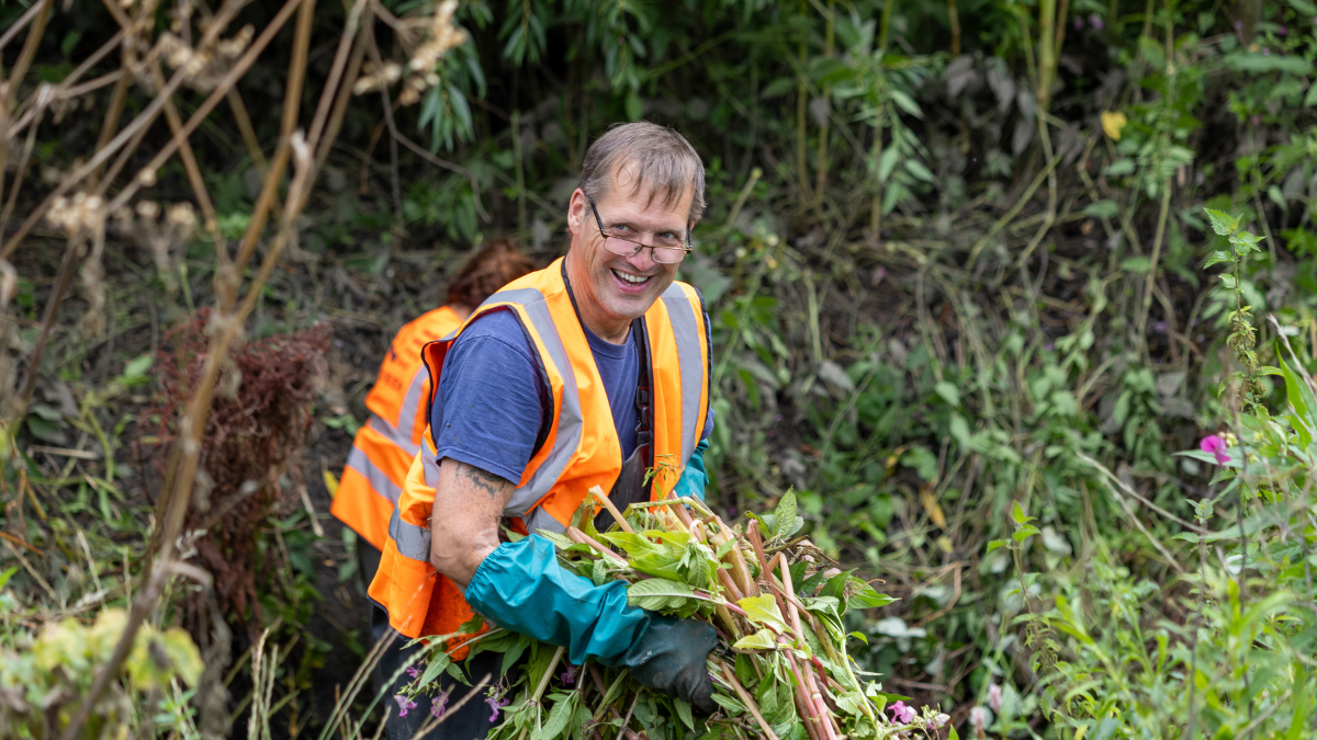 A man wearing an orange high vis vest and blue gloves, carrying vegetation.