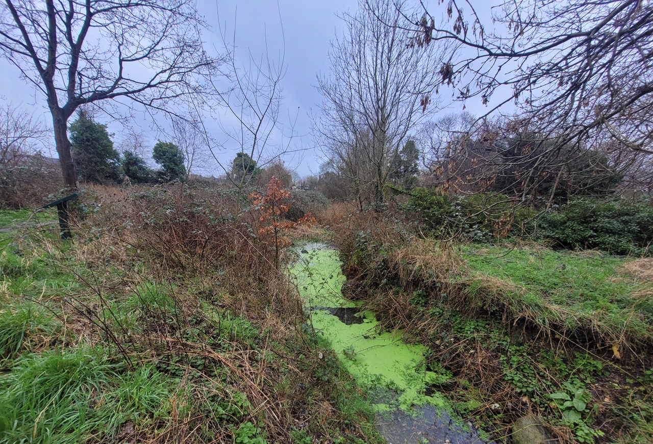 London Mayor funding to bring Bromley wetlands back to life