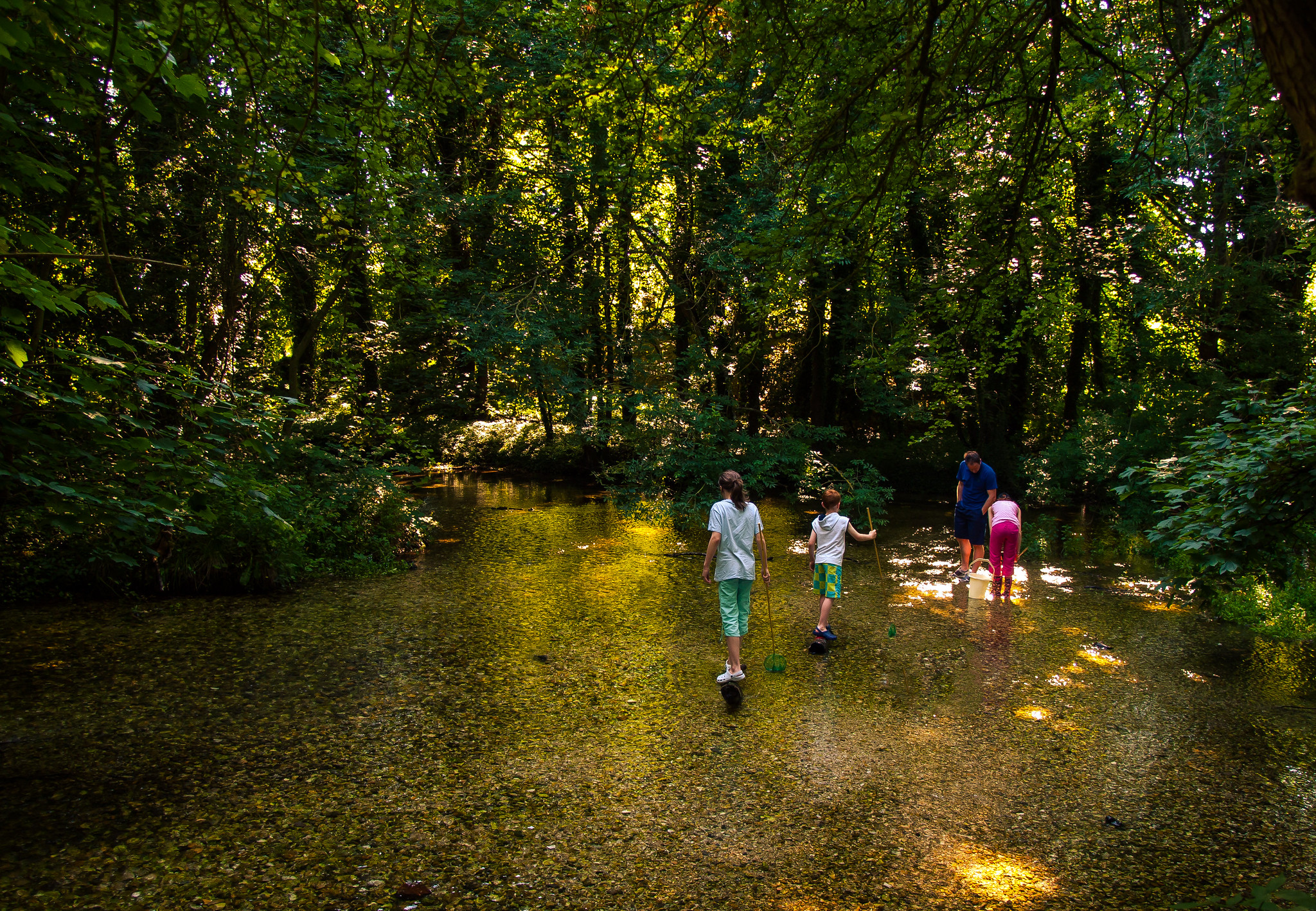 A family paddling on a river surrounded by trees and dappled sunlight.