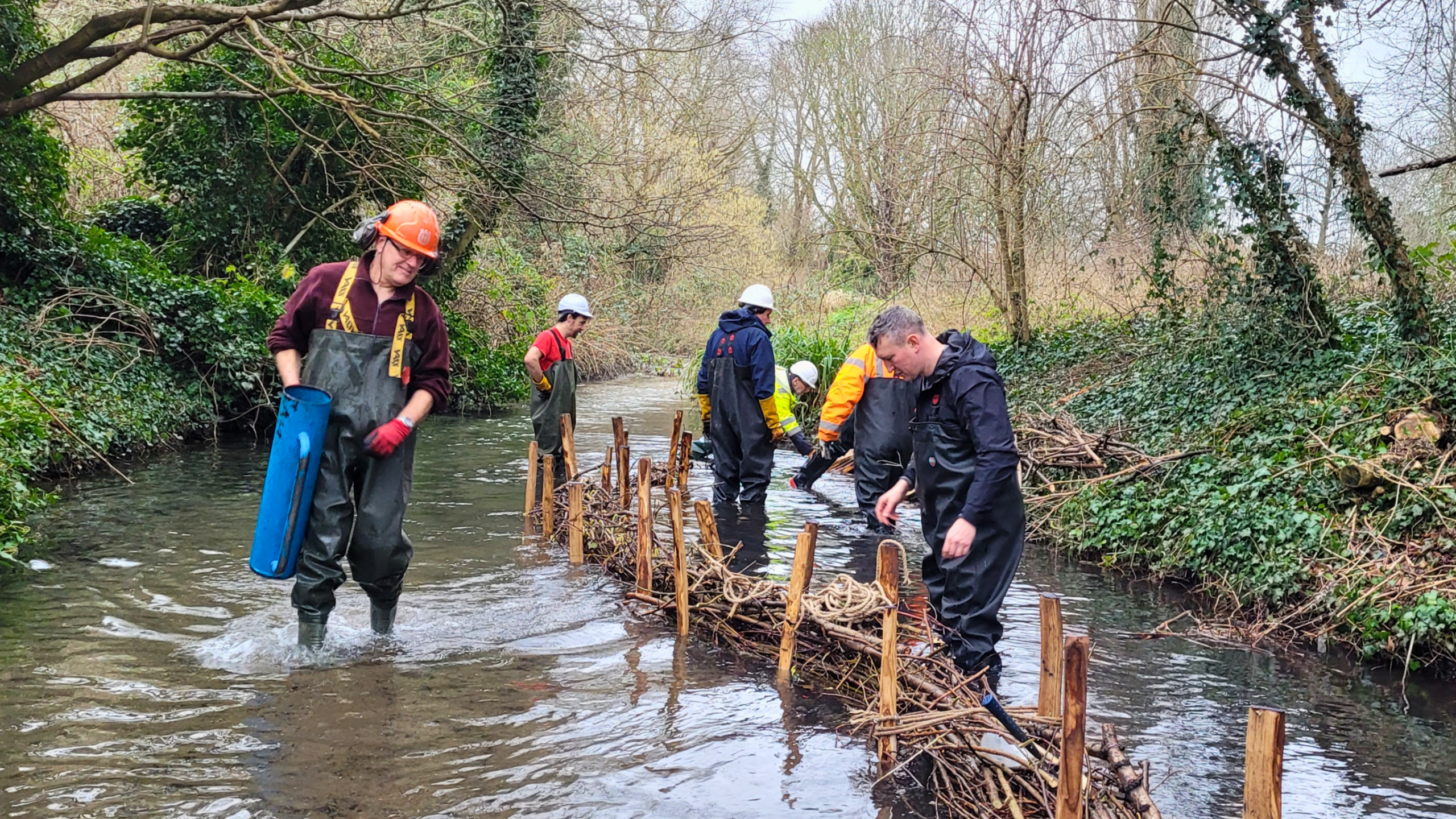 A team of people building a berm out of branches and wooden posts in a river.