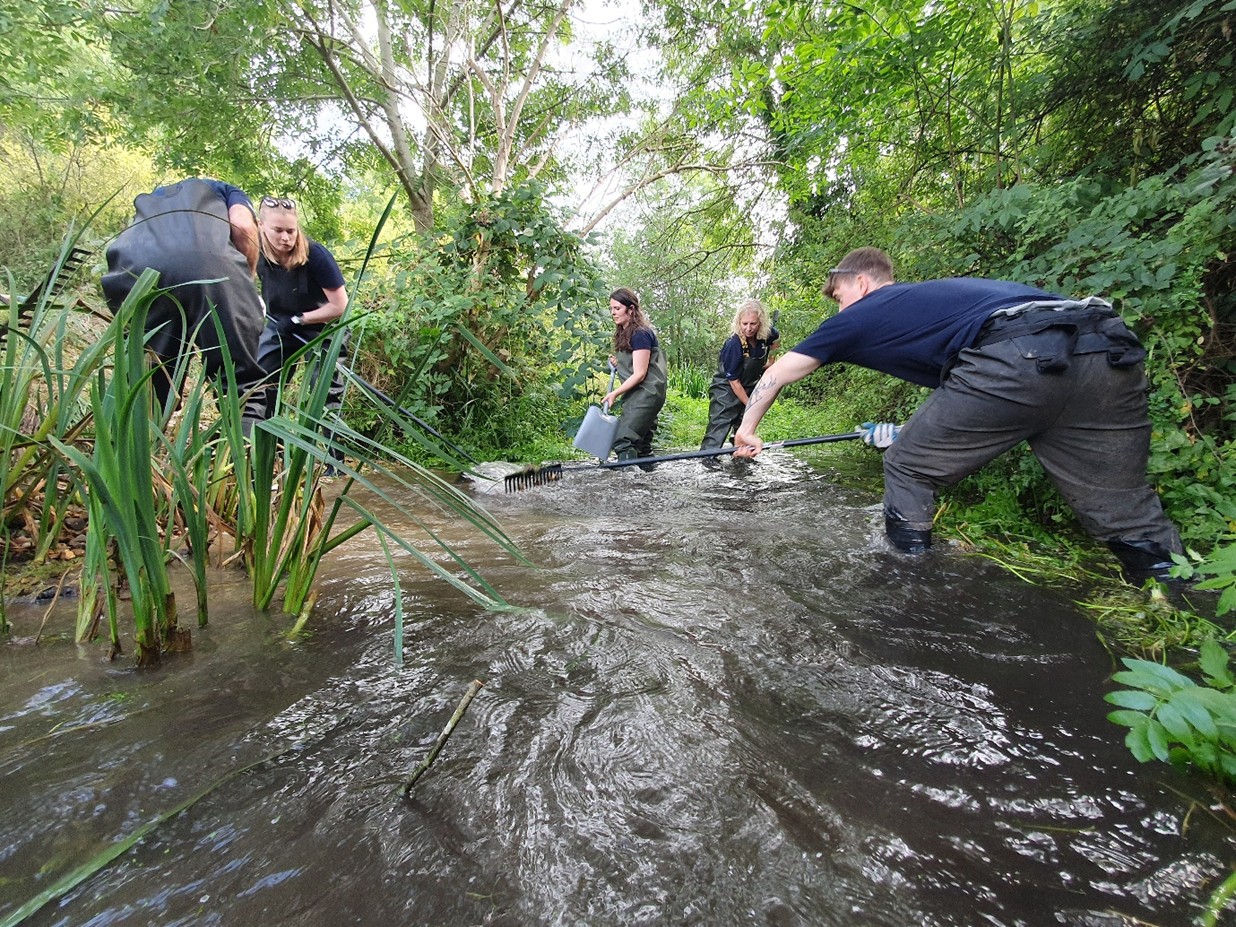 A group of people raking gravel into a riverbed.