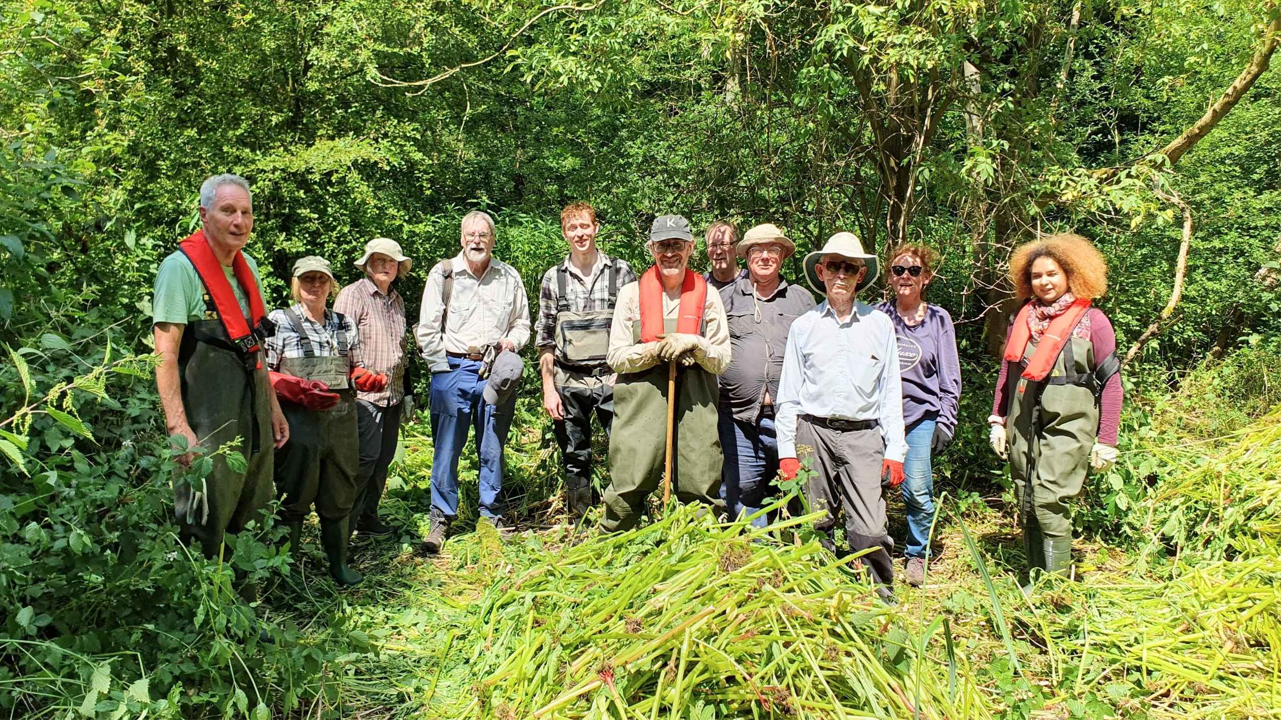A group of volunteers in the sunshine helping to cut down himalyan balsam