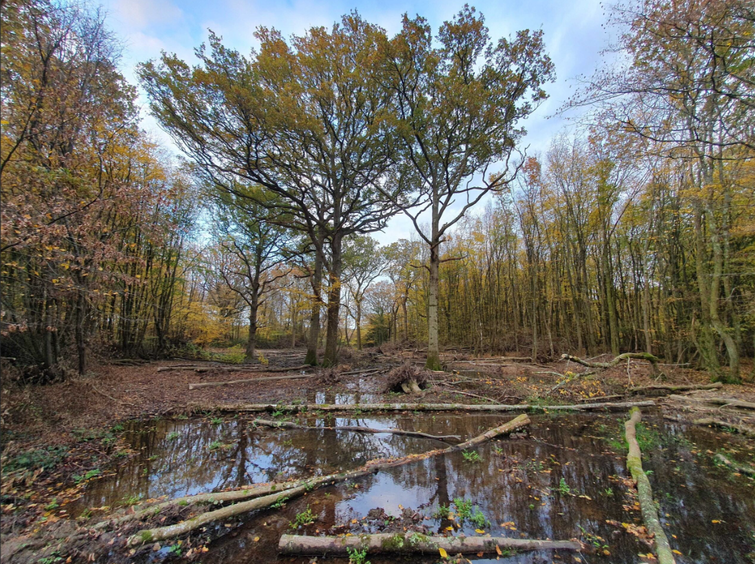 Water stored in the environment
