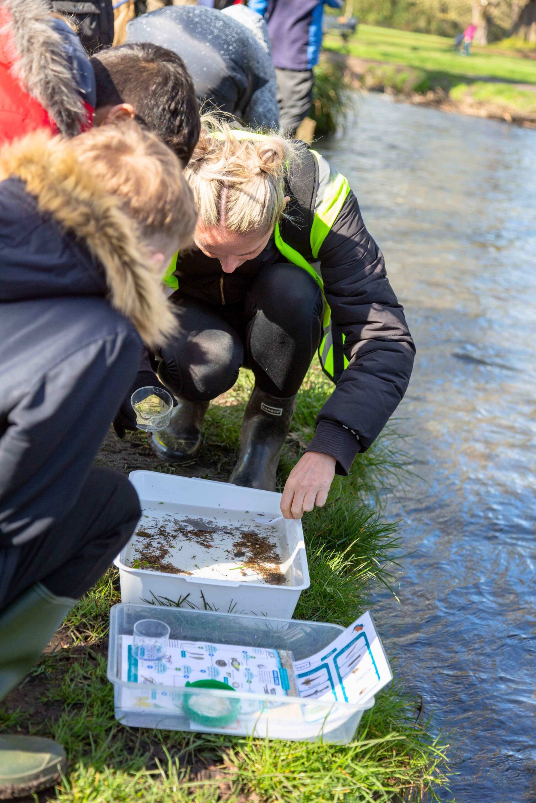Children looking into a tray to try to identify insects caught from the river