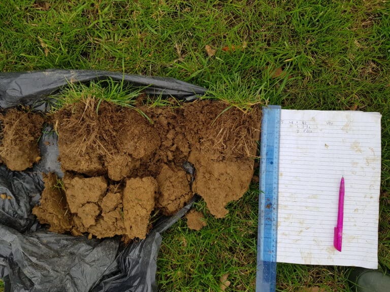 A sample of soil taken for analysis