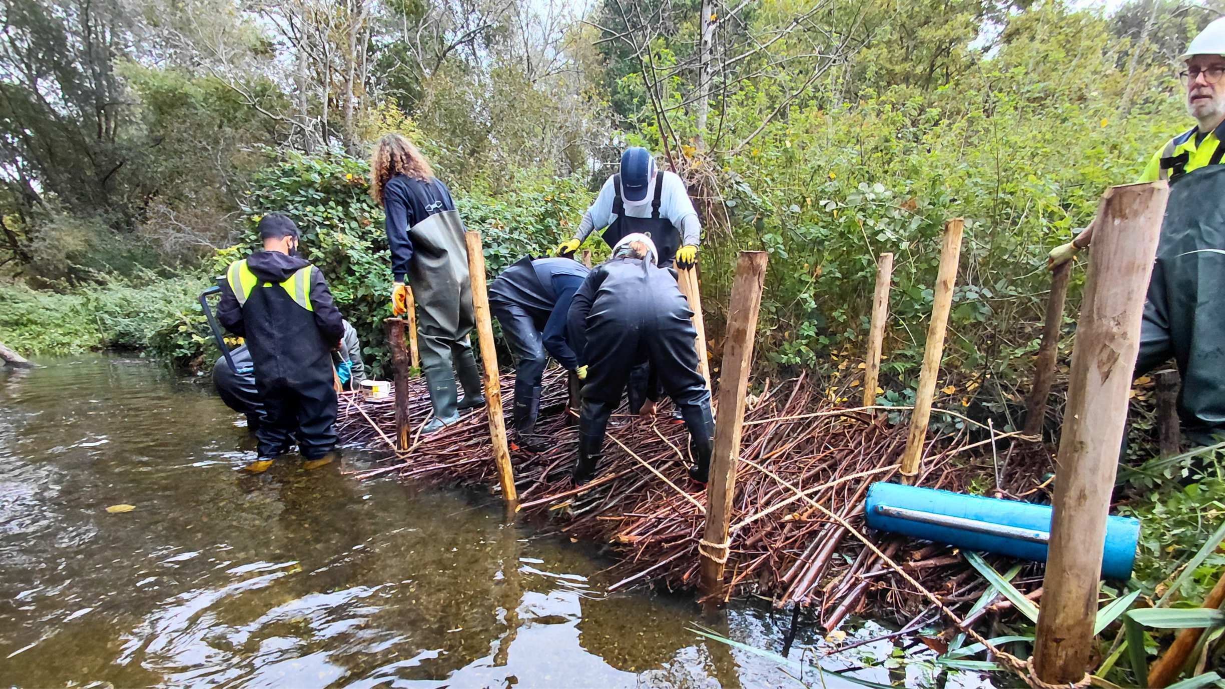 Volunteers working on river restoration