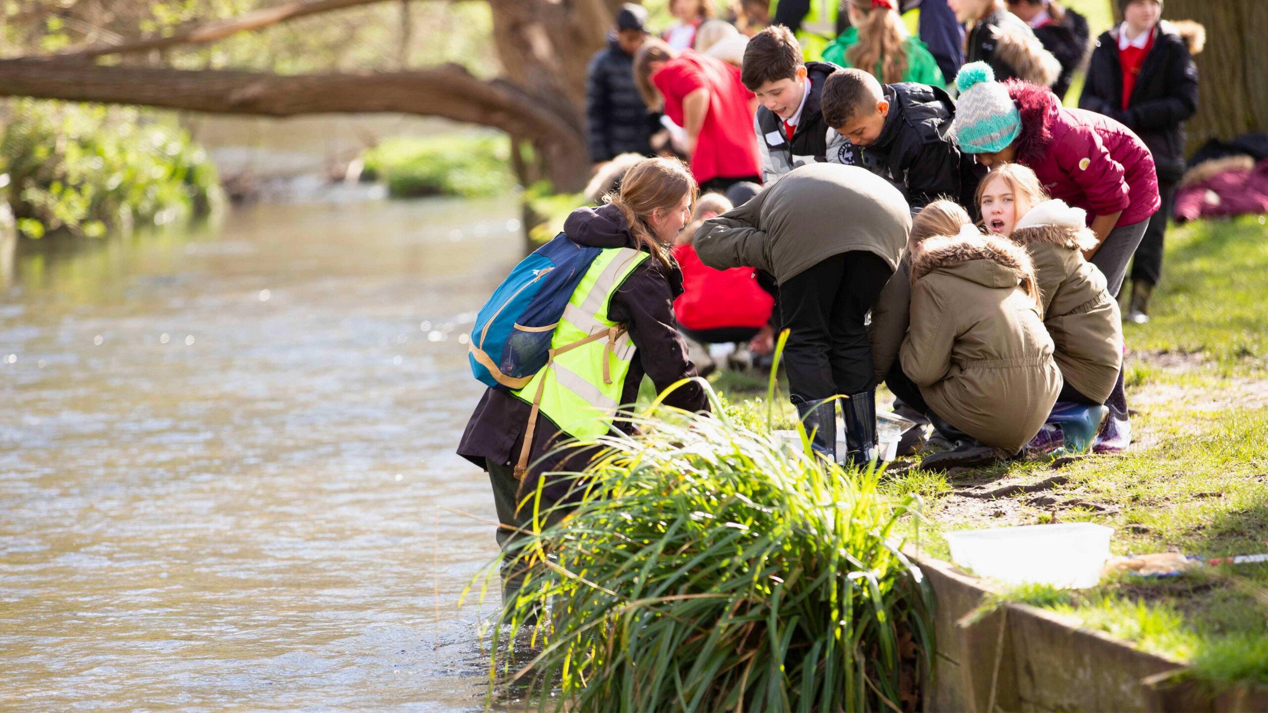 A teacher standing in a river next to the bank, looking at a river sample with school children