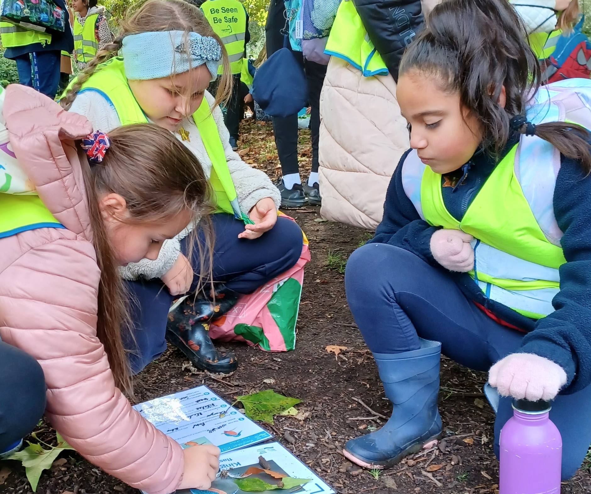 A group of children identifying leaves from an identification sheet during an education session