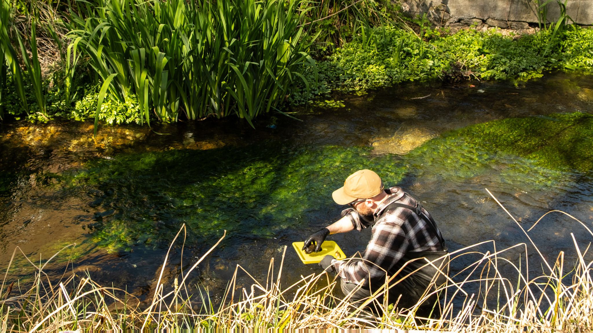 A man stands in a river, holding a yellow tray in the water, surrounded by trees and natural scenery.
