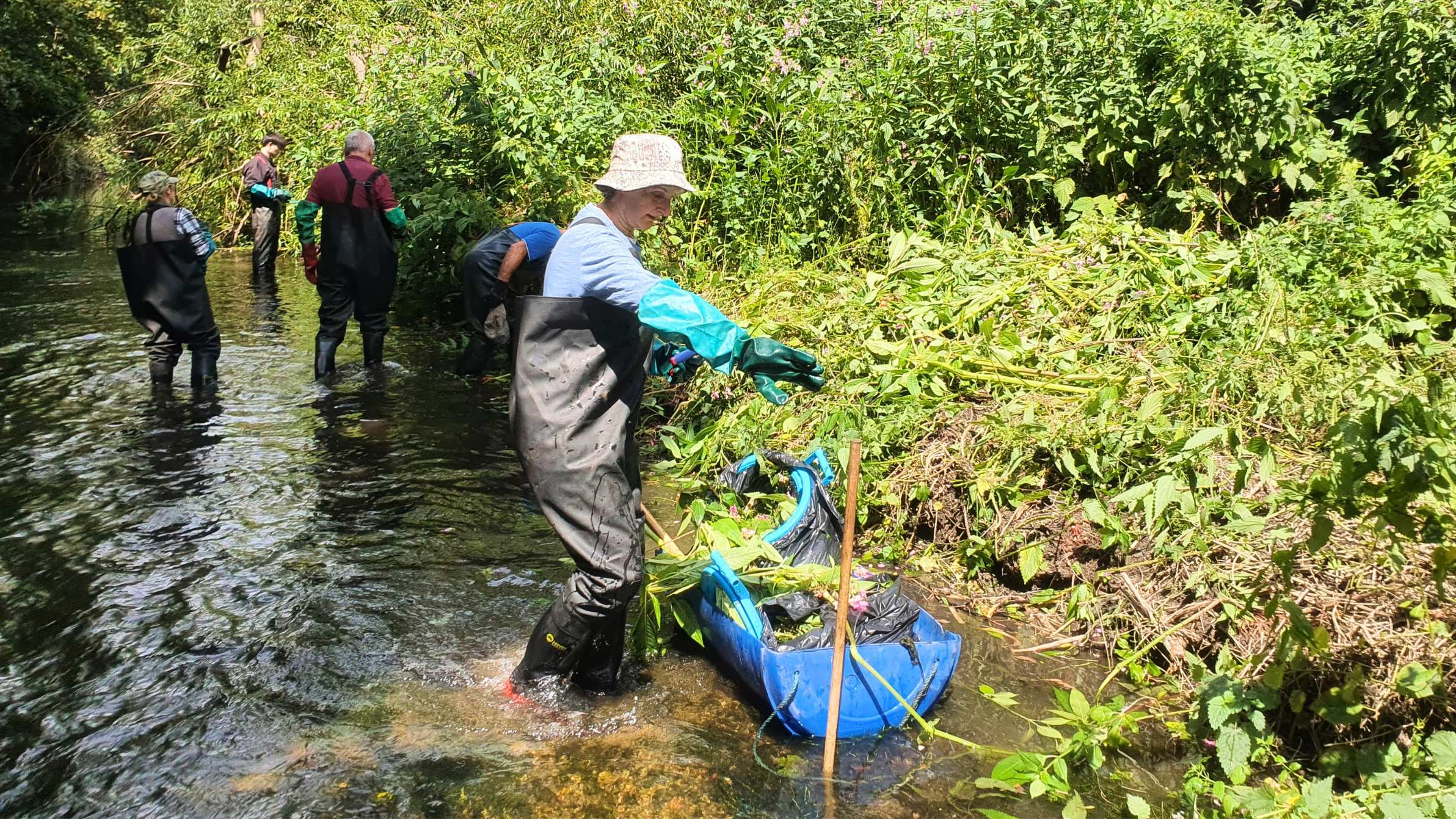 Volunteers clearing along the river bank, standing in the river