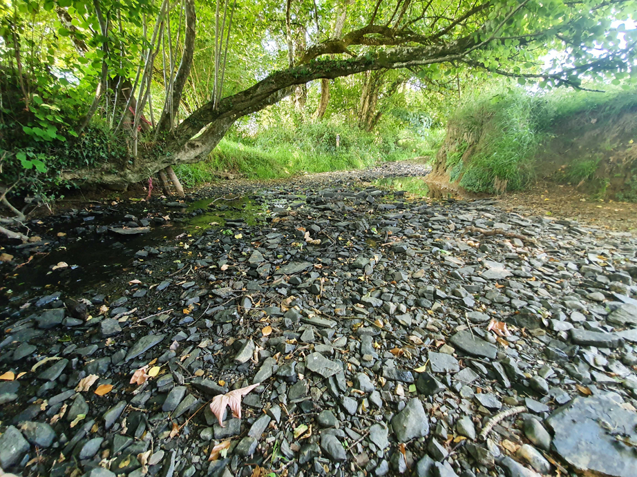 A dry river bed in drought