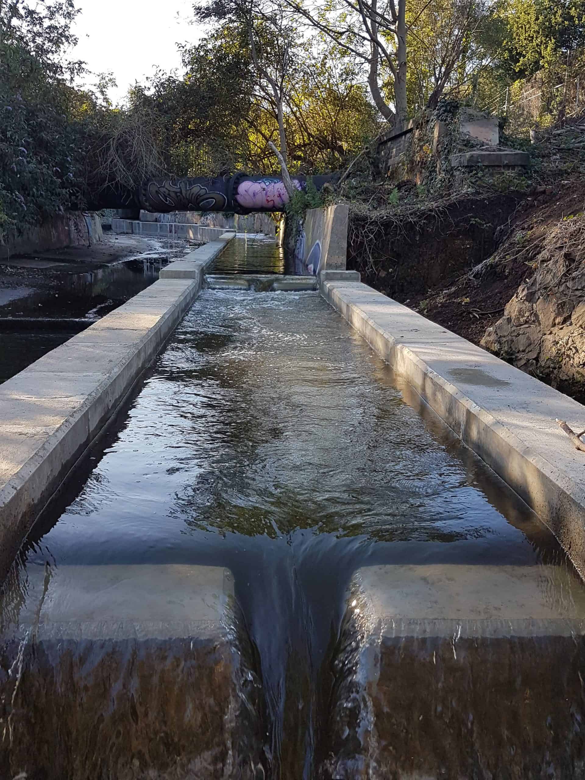 The technical fish pass built on the Hogsmill showing the notches for fish to pass through.