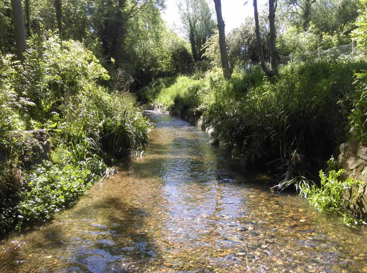 After shot of the river following weir removal