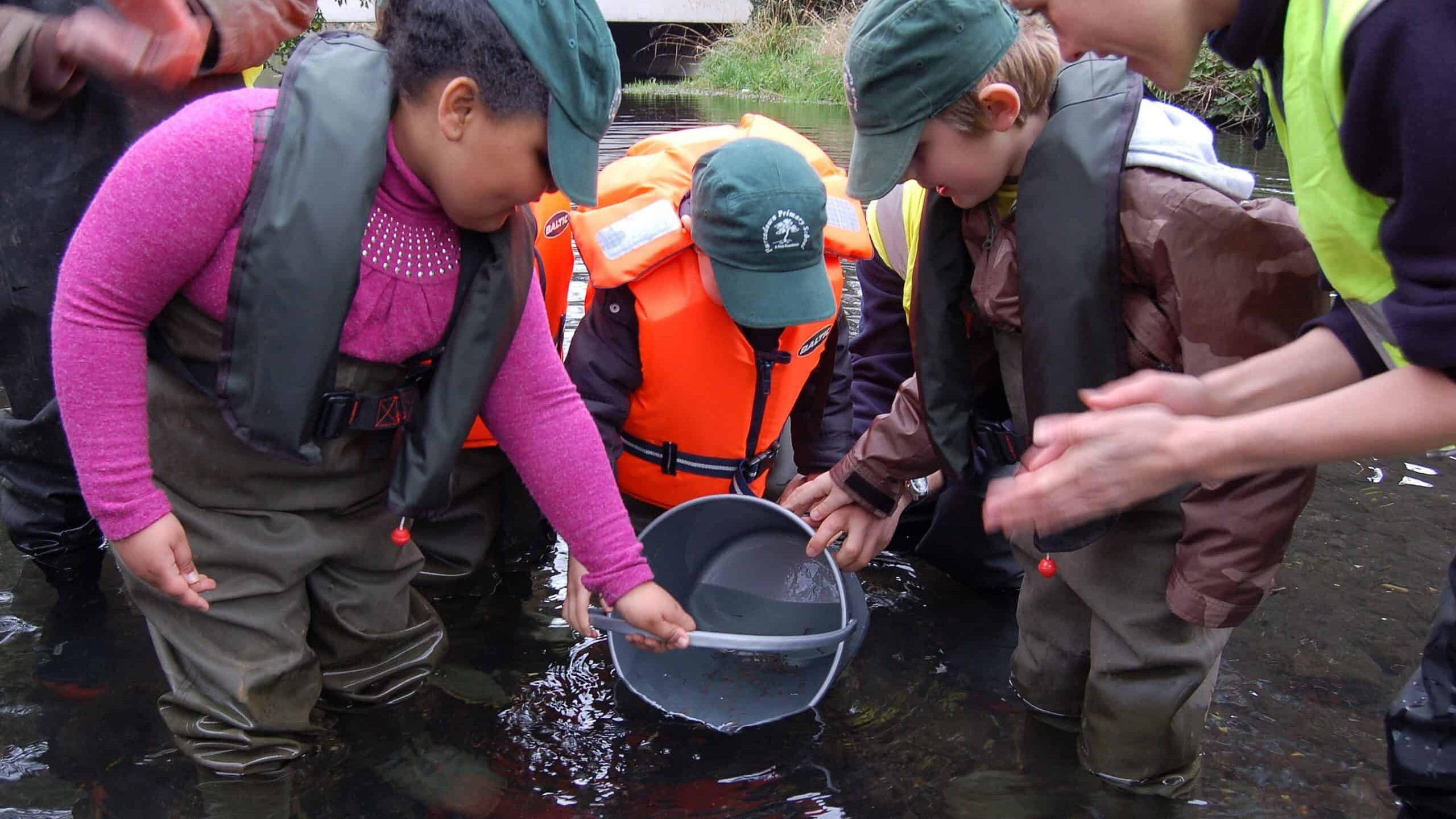 A group of children releasing trout into the river from a silver bucket