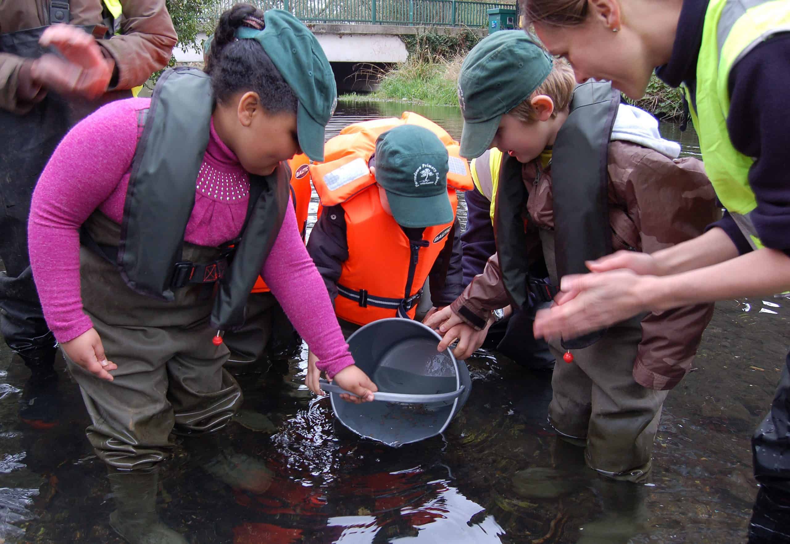 A group of children releasing trout into the river from a silver bucket