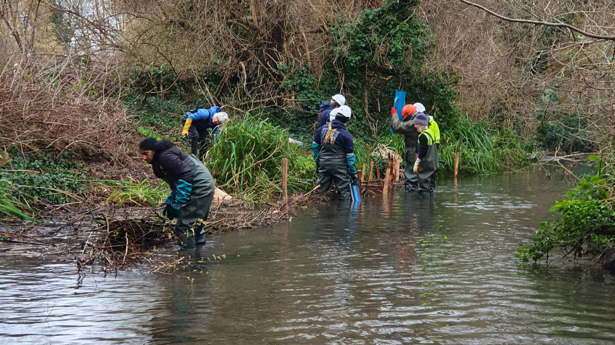 A group of volunteers working in the river