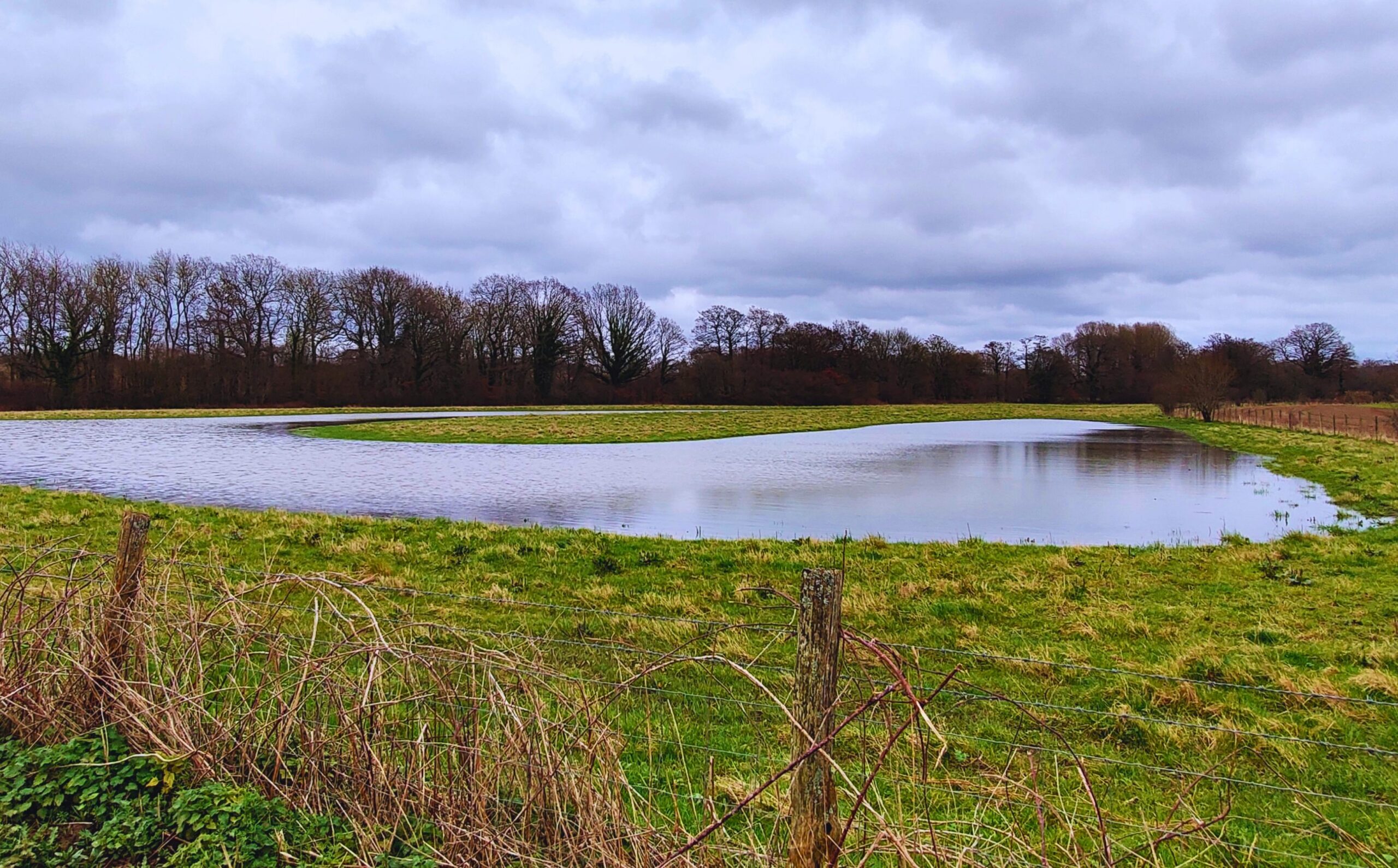 A large pond within a field.