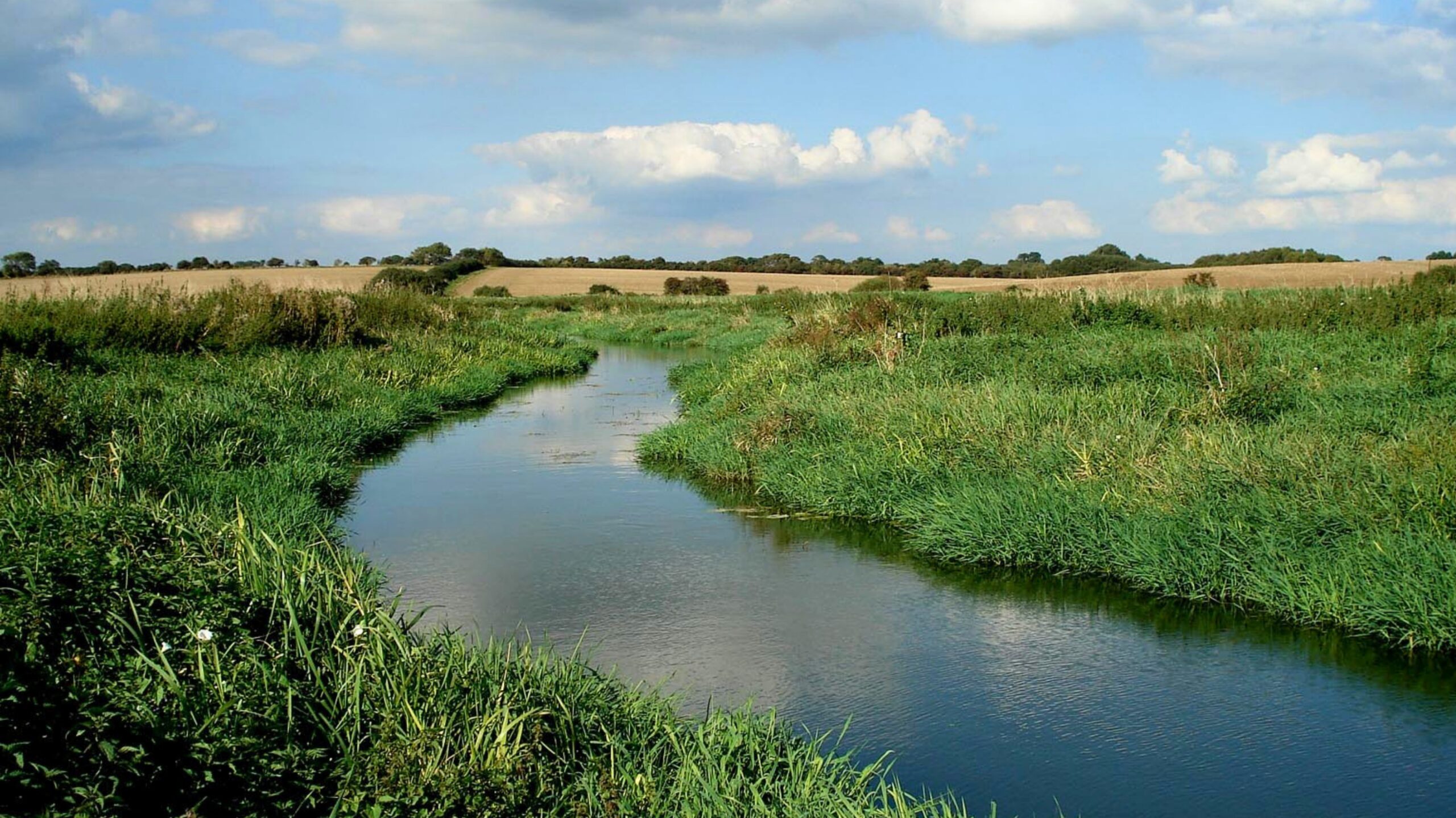 A view of a winding river through green fields.