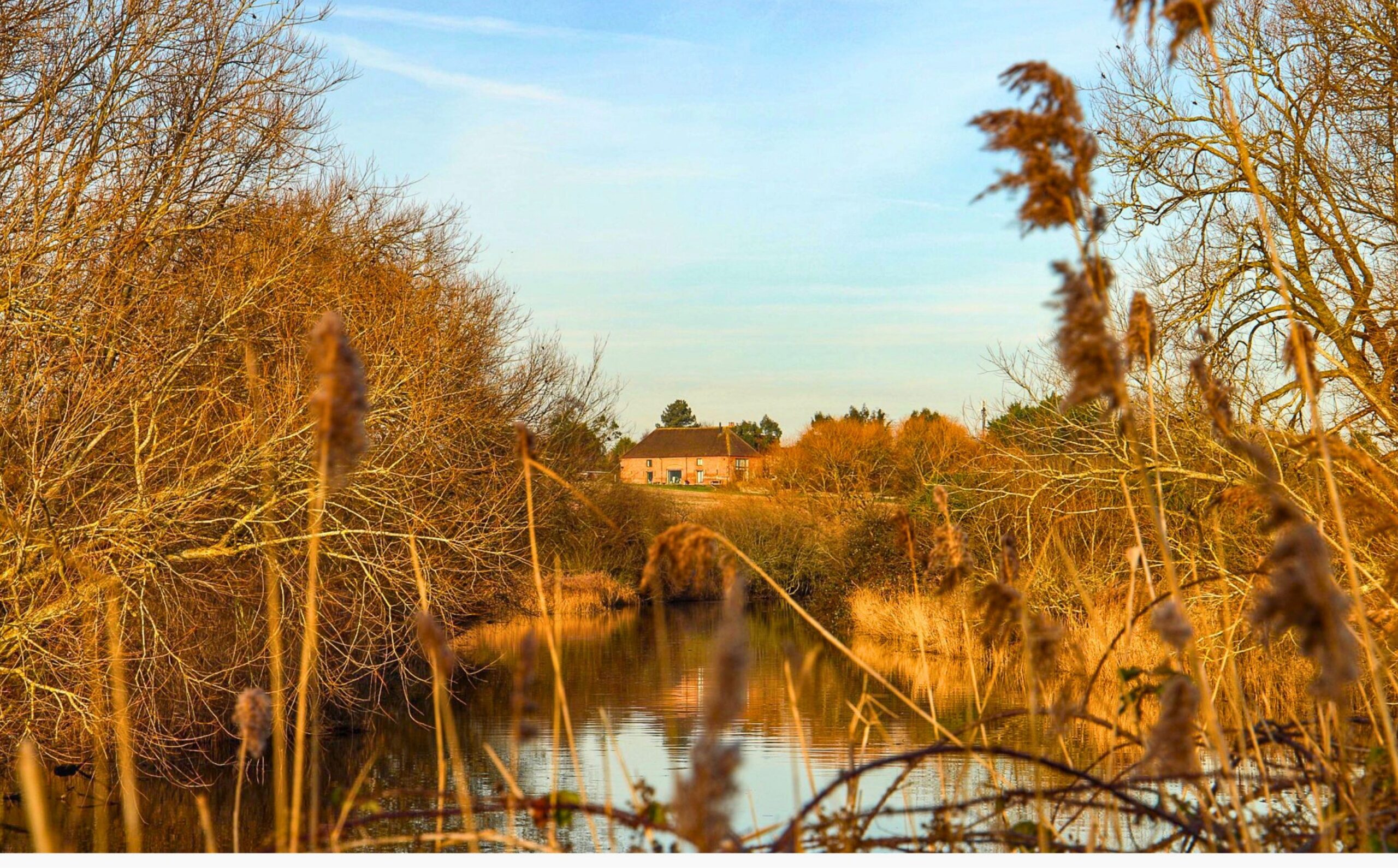 A view of a river through fields in the autumn with golden vegetation either side and a farmhouse in the distance.