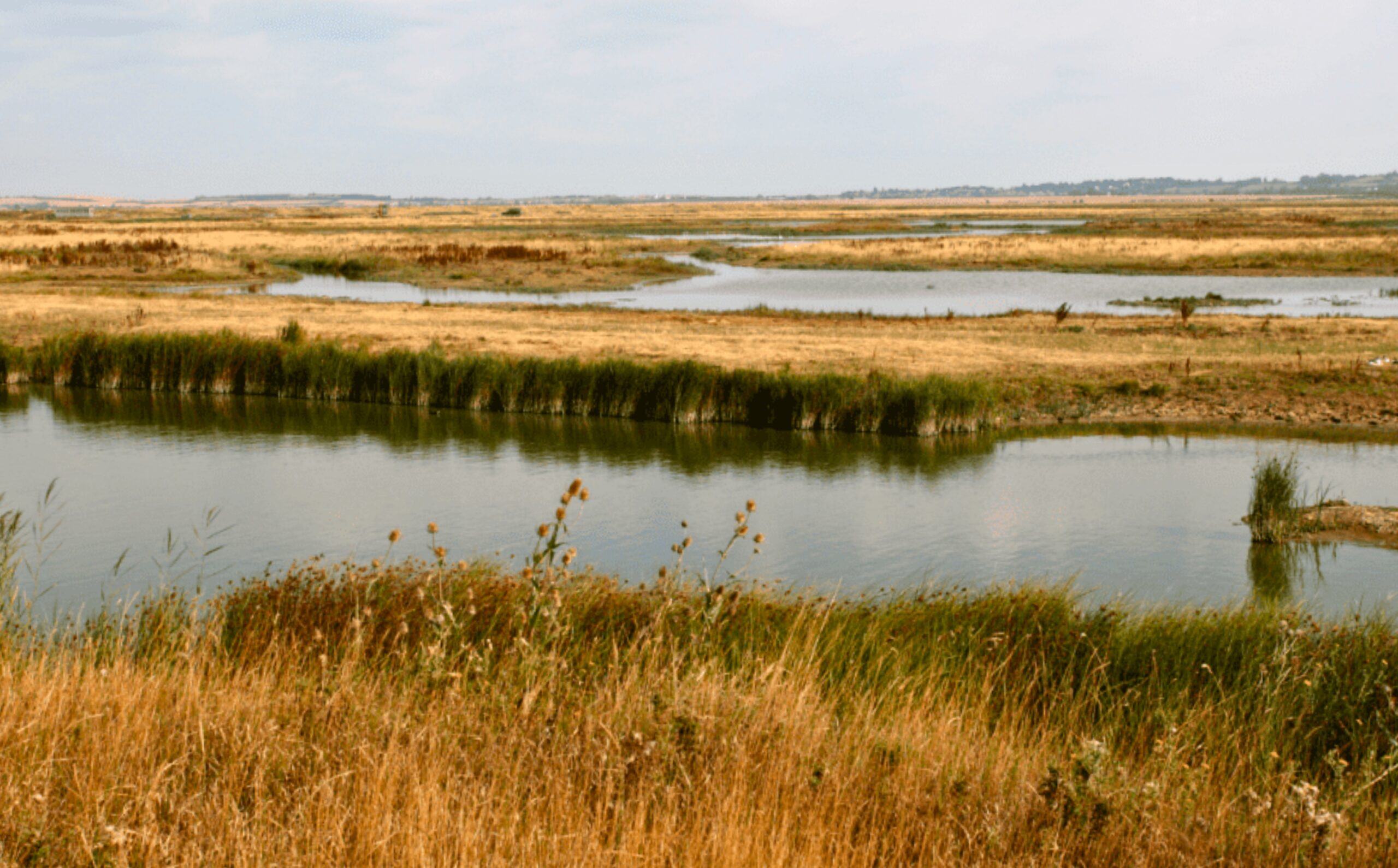 Lakes surrounded by marshland and reed beds.