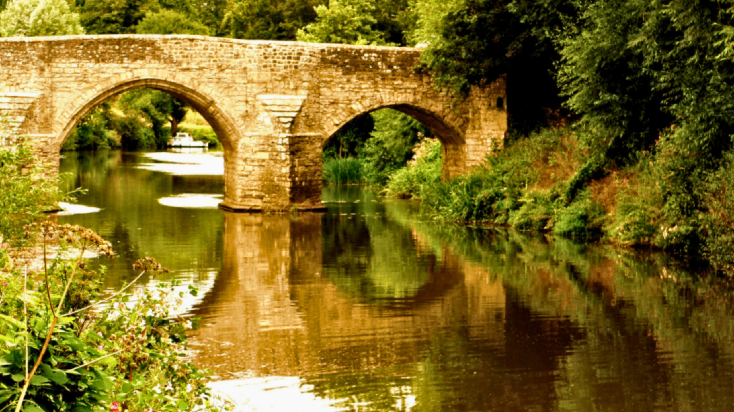 A bridge over a river with vegetation either side and a boat in the distance.