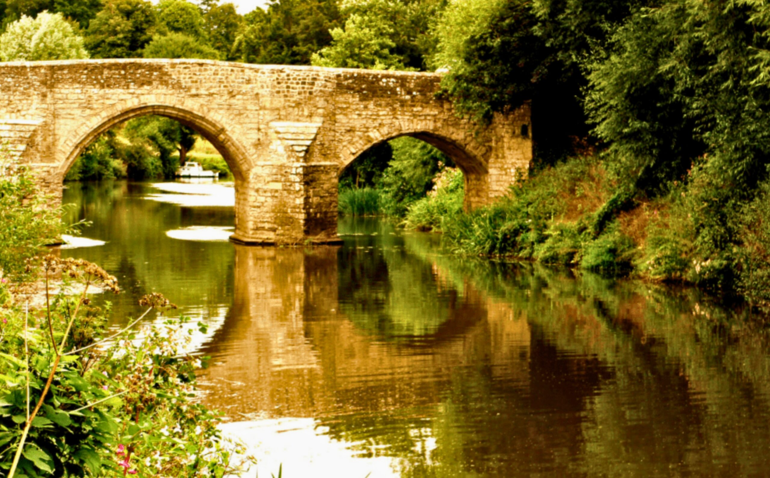 A bridge over a river with vegetation either side and a boat in the distance.